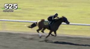 Tiz Laws Hall works out (video by OBS)
